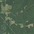 Patient fall reported near Basin Road in Crocker, MO