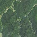 Reported threat with handgun on Brushy Fork Road