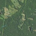 Person reported sick near Bethany Church Road