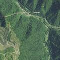 Copper stolen after utility poles cut down