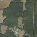 Person reported ill near Saxis Road in Temperanceville