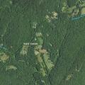 Traumatic injury reported near Plank Road