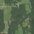 Teen female with mental health issues near Collins