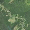 Person injured by tree fall at campground