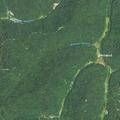 Disturbance reported on Bulwark Branch Road