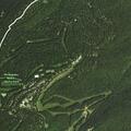 Trees down causing road hazard near overlook