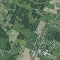 Assault with board and knife reported in Ekron