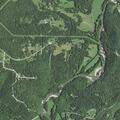 Reported felon firing automatic gun(s) near Grove Hollow Road