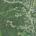 Suspicious person near cattle on property line