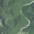 Woman with chest pain near Austin Lane in Bob White, WV