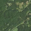 Person experiencing chest pain at White Mountain Road