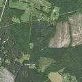 Person having stroke near Beaver Dam Road