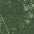 Deer injured after vehicle collision on White Mountain Rd