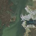 Person with head injury threatens to jump off dock
