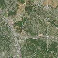 Underage drinking reported at Carolina Avenue home