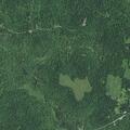 Low-hanging line reported near Highway 376 in Webster