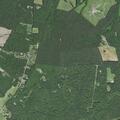 Elderly woman falls and may have broken hip near Ancient Acres Road