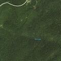Person attacked by bear near Appalachian Trail shelter