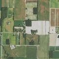 Neighbor dispute over hogs on property