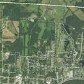 Woman reports man killed her dog at Dixon home