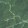 Welfare check requested near East Fork Road in Harts