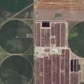 Rural fire near feed yard in Finney County