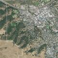 91-year-old man bleeding from arm in Martinez