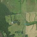 Downed power line and propane tank risk at house