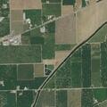 Dog bite reported at East Flood Road