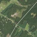 Public service call near Partlow Road in Beaverdam