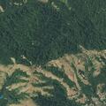 Fall detected near Mountain King Road in Lagunitas