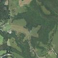 Cow reported in roadside ditch near Montreal