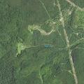 Verification requested near Upper Fork Road in Lookout