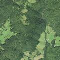 Possible stroke in 66-year-old man in Renick