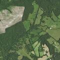 Person fell near Hamilton Road in Louisa, VA