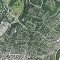 Woman reports assault and attempted strangling