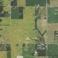 21-year-old male with suicidal thoughts in Sesser