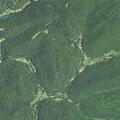 Male unconscious with seizure-like activity near Laurel Fork