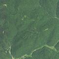 Elderly woman unresponsive with altered mental status in WV
