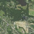Loose cattle reported near Illinois 154 and 51