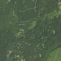 Person sick near Holly Drive in Partlow, VA
