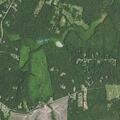 Unconscious person reported near Forest View Drive