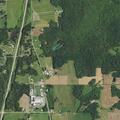 Heifer loose on State Road 37 near Perry Central