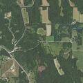 Traffic stop of GMC SUV near Highway 42