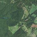 Animal complaint on Stony Point Road