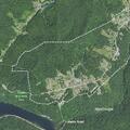 Loose dogs reported on Bell Street