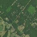 Person reported sick near Madison Run Road
