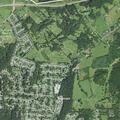 Person suffering gastrointestinal bleeding near Elm Street