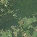 Person experiencing back pain near Hamm Road in Barboursville