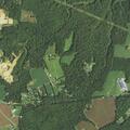 Person injured from fall near Kings Highway